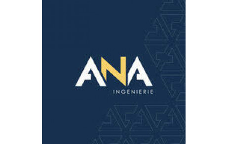 Ana Ingénierie